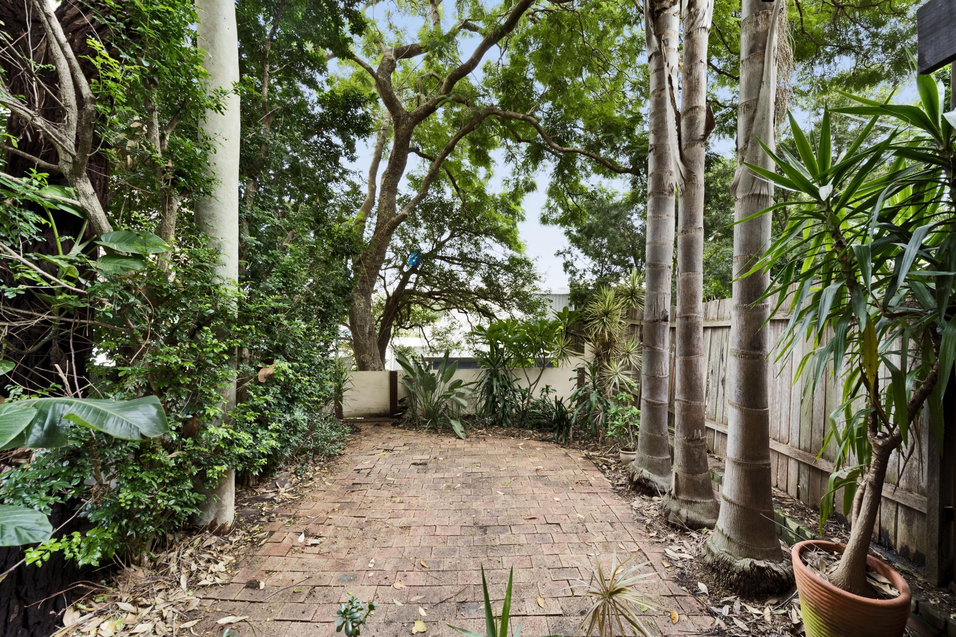 64 Rosser Street Balmain NSW 2041 House for Rent 4824750 CobdenHayson