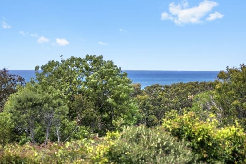224 Great Ocean Road, Anglesea - Thumbnail 4