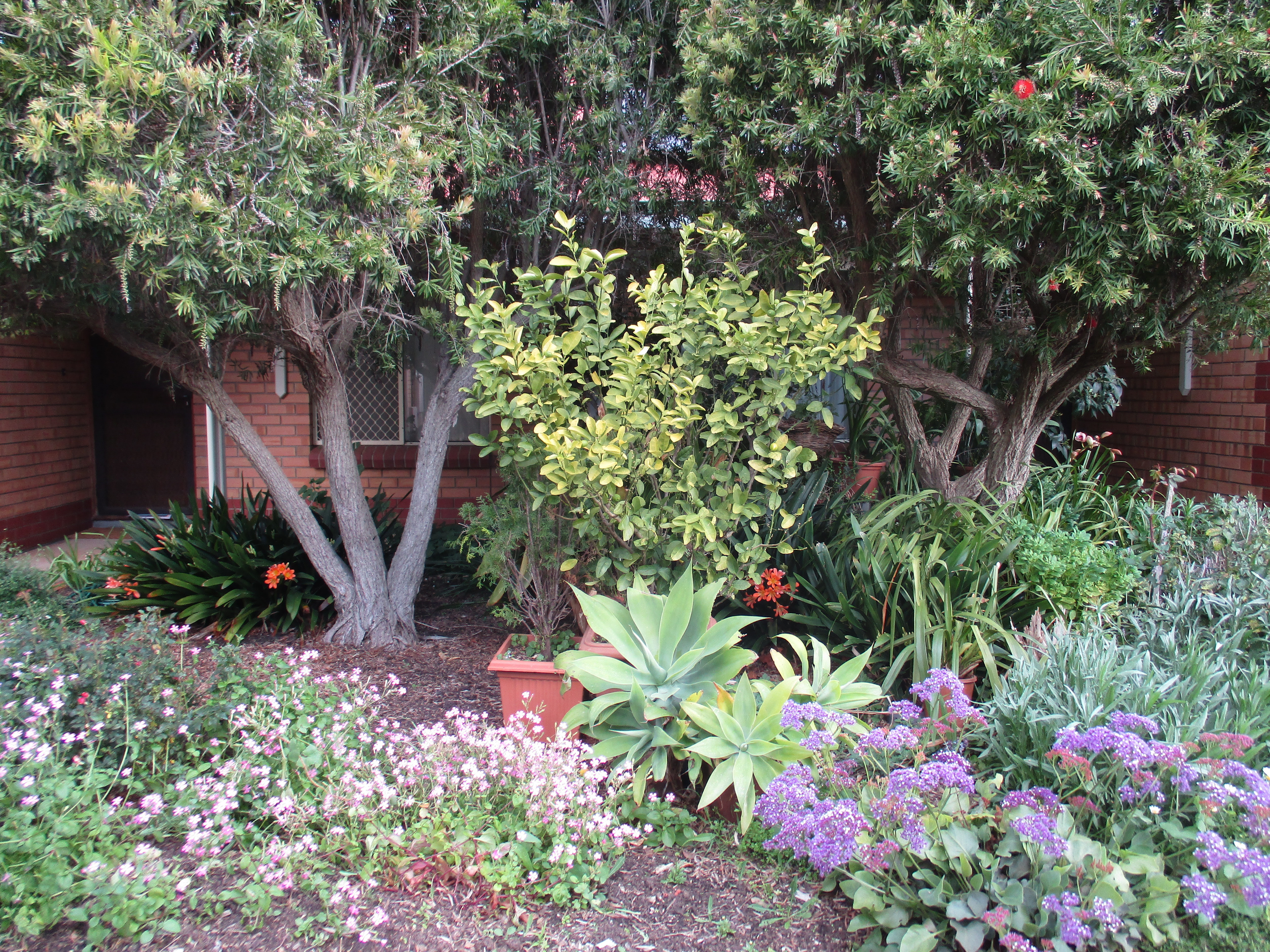 4/1 Fourth Street Magill 5072