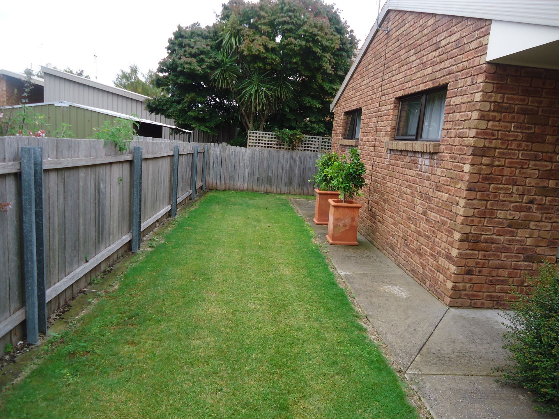 3/156 James Street, Devonport