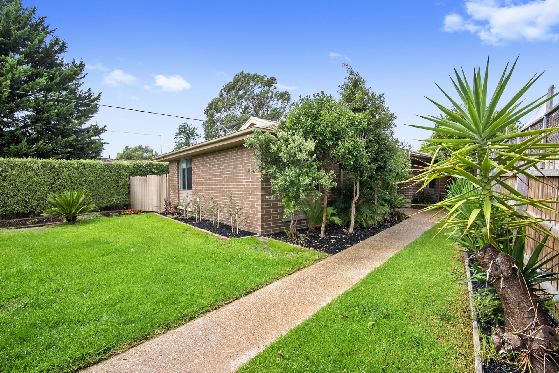 86 Robertson Drive, Mornington OBrien Real Estate