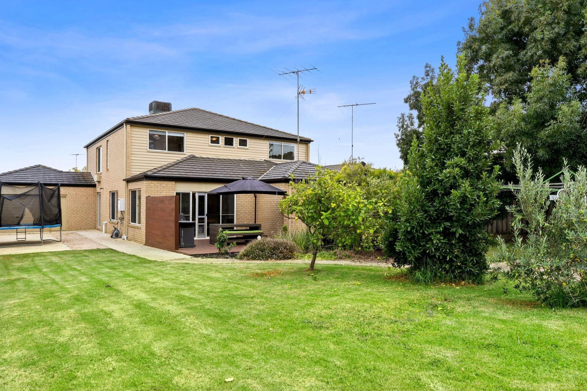 42 Daintree Way Ocean Grove VIC, Ocean Grove - Thumbnail 5