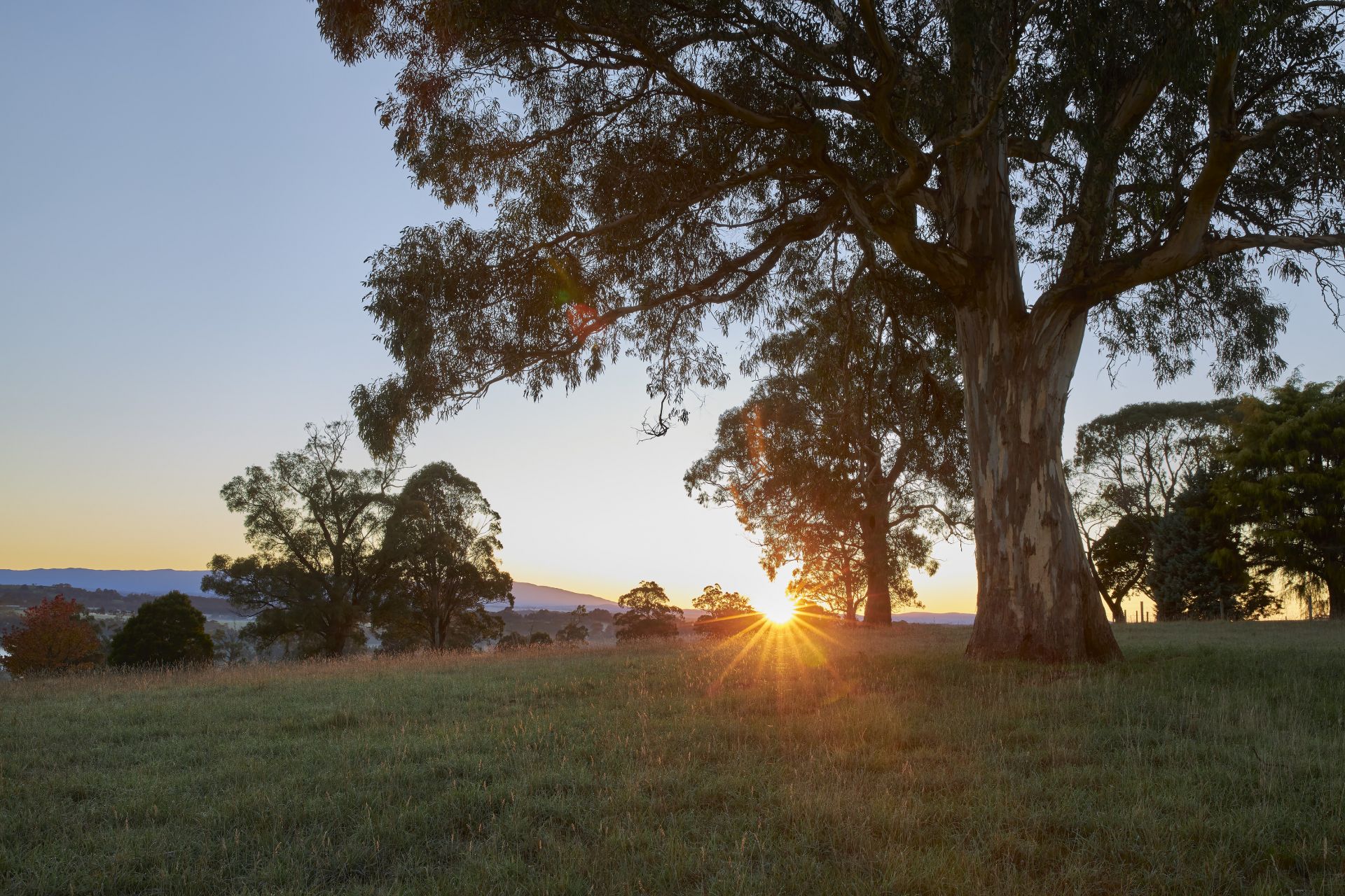 244 Dawsons Track, Nilma North OBrien Real Estate