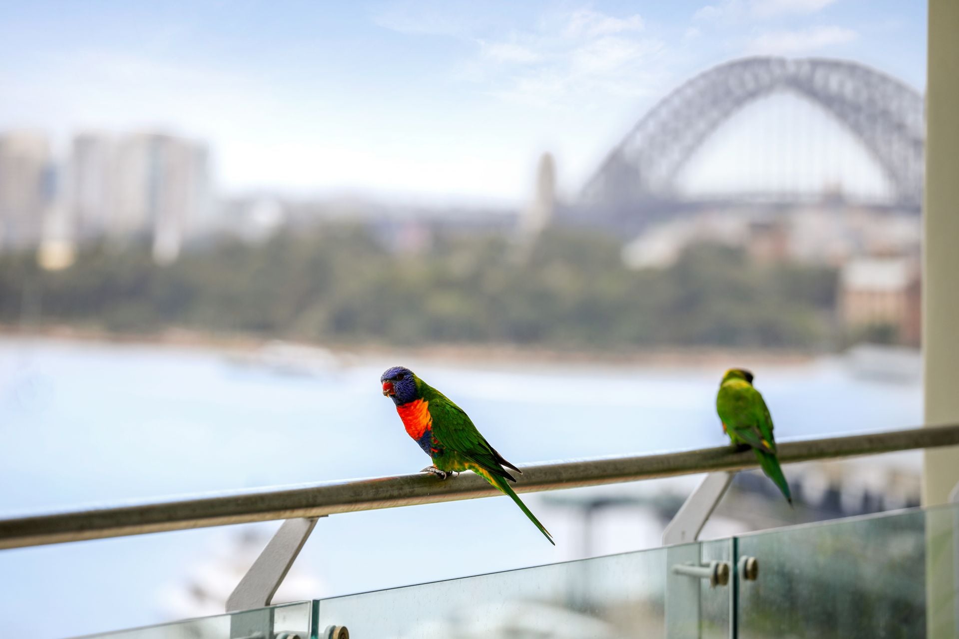 412/2 Point Street, Pyrmont, Pyrmont - Thumbnail 6