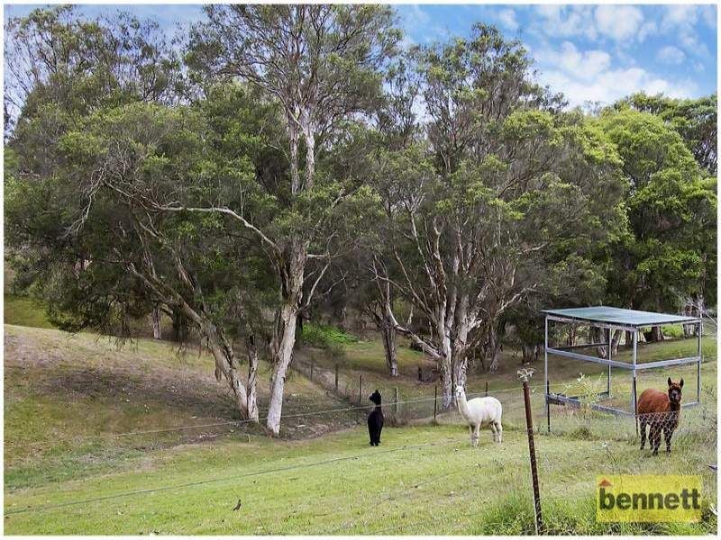 19 Kimberley Lane, Windsor Downs - Thumbnail 5