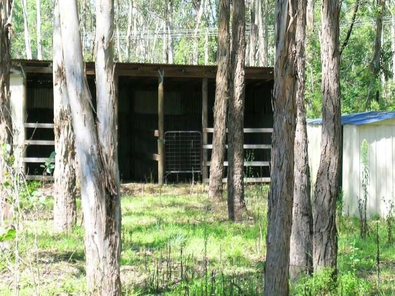 81 Reedy Road, Maraylya - Thumbnail 5
