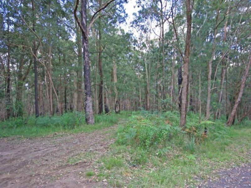 25 East Street, Kurrajong Heights - Thumbnail 2