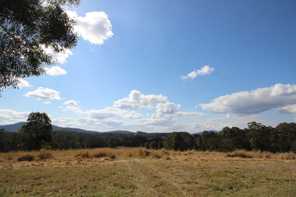 449 Bril Bril Road, ROLLANDS PLAINS NSW 2441