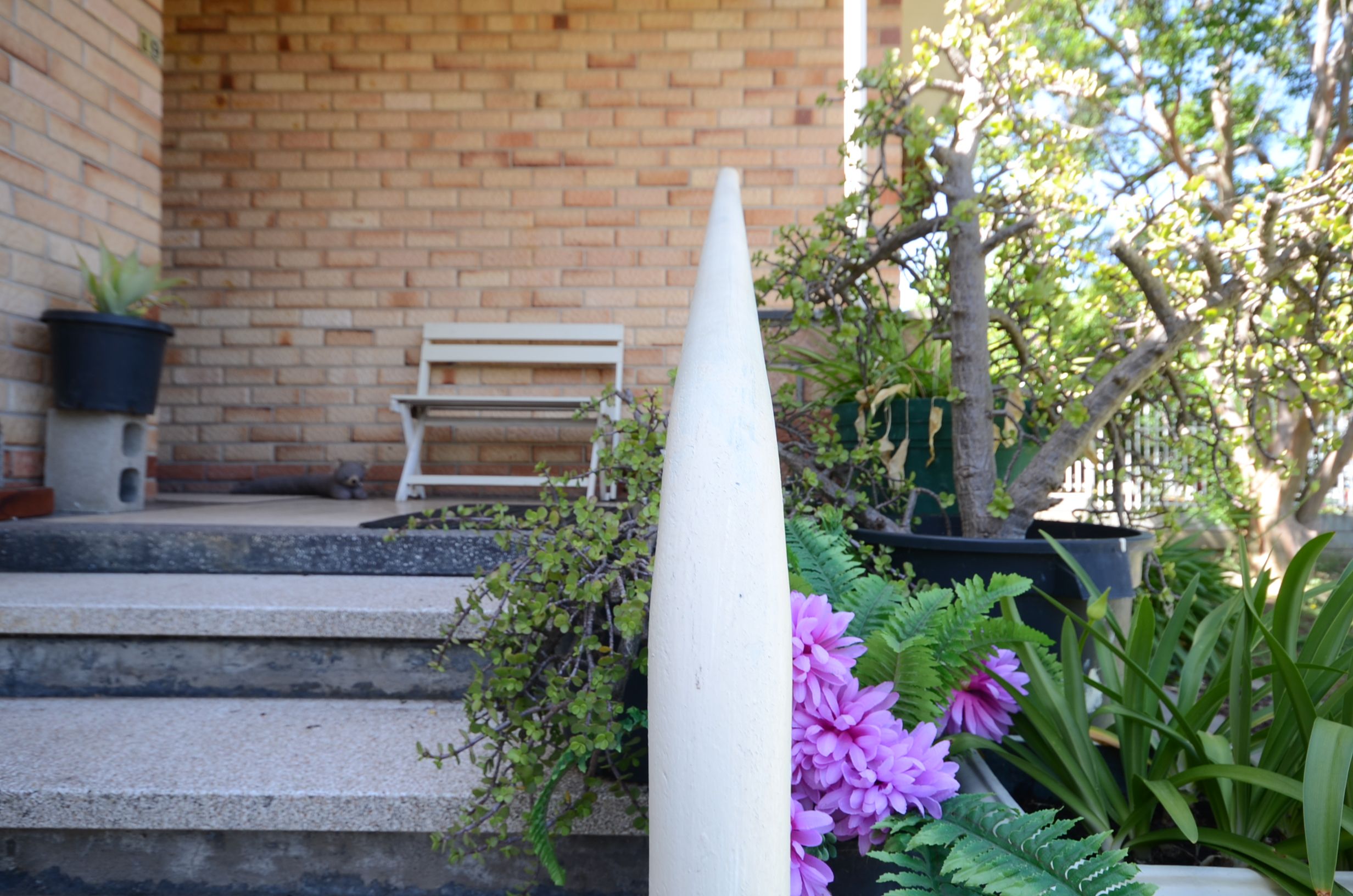 19 Ontario Ave, Panorama SA 5041