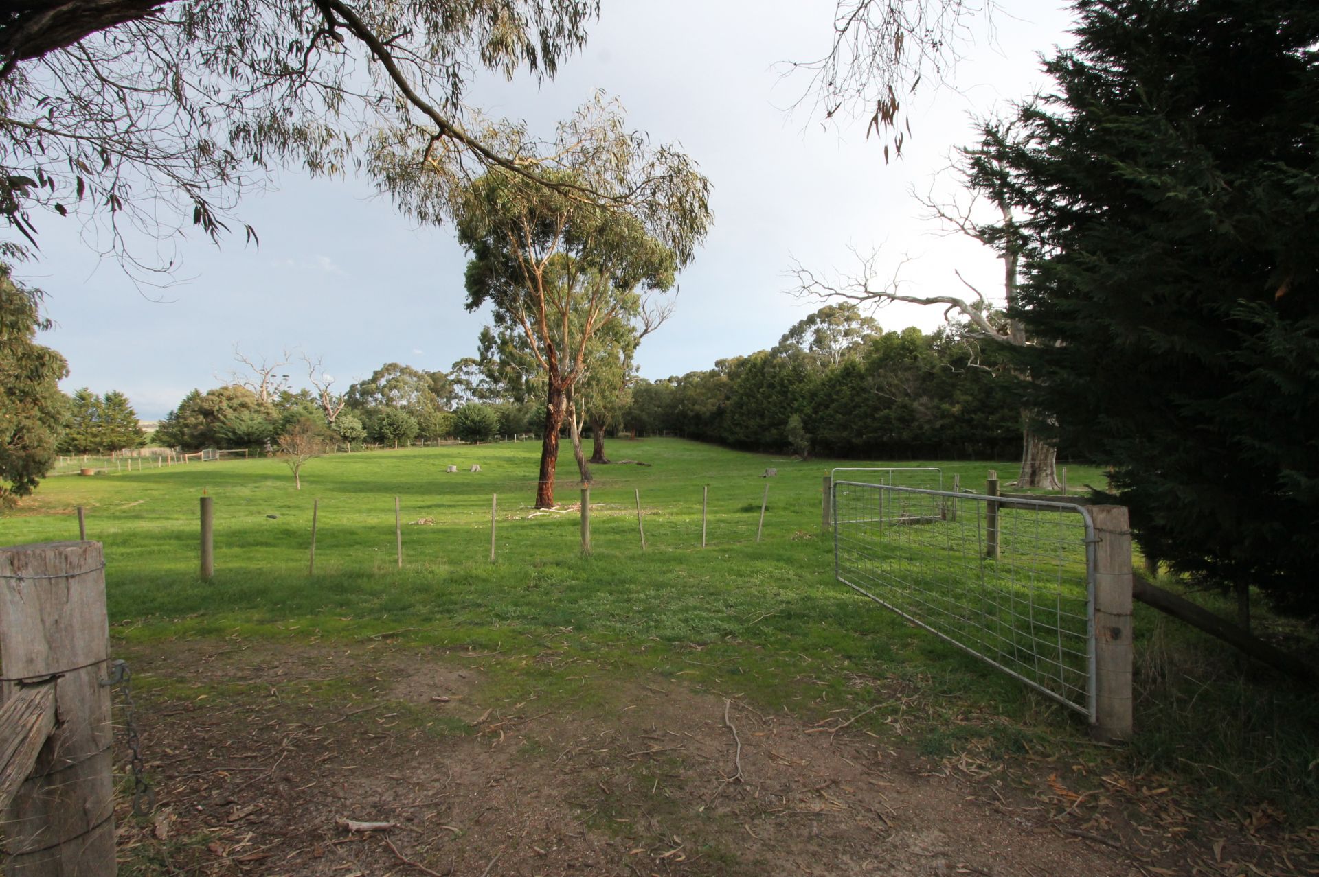 RARE LEASING OPPORTUNITY - 20 ACRES - 8.09 ha