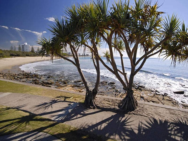 Unit 5/Cnr Edward & George ALEXANDRA HEADLAND QLD, Unit 5/Cnr Edward & George Alexandra Headland - Thumbnail 7