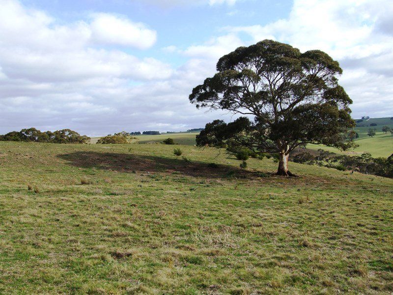 529 Swans Road, Bacchus Marsh - Thumbnail 4