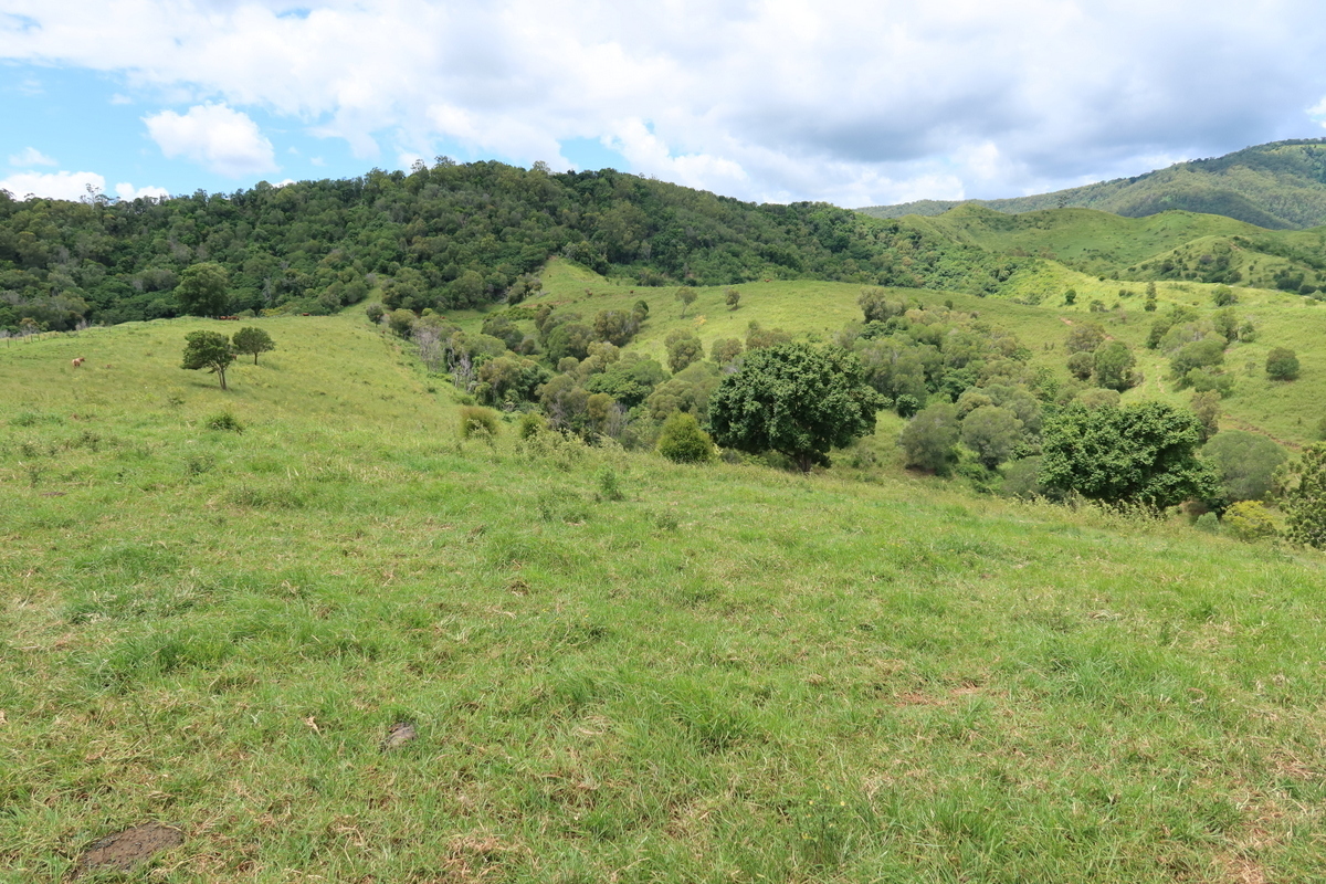 Real Estate For Sale 189A Snake Gully Road Palen Creek , QLD