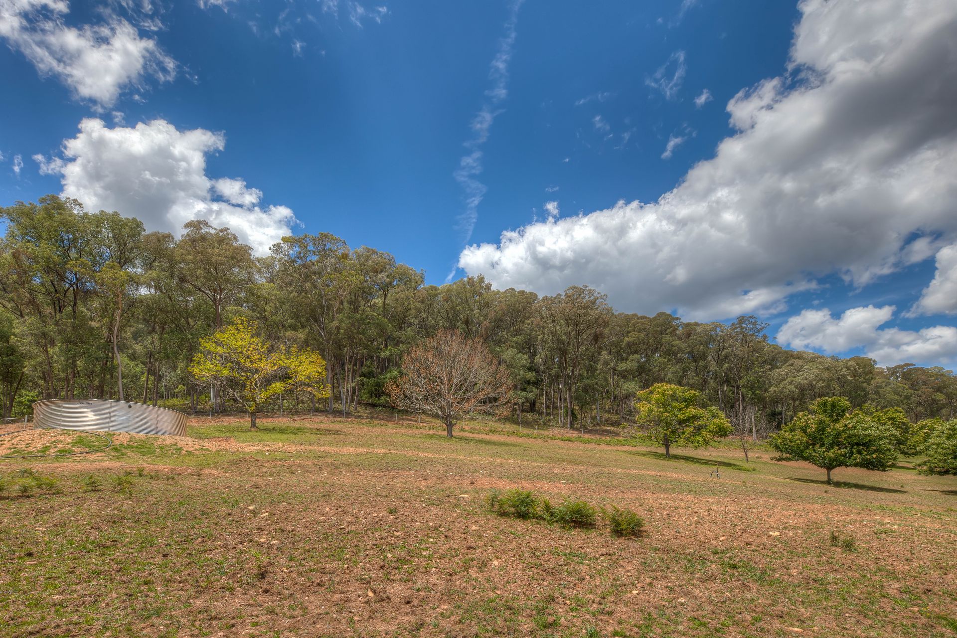 CA 34C/ Tobias Track, Wandiligong Dickens Real Estate