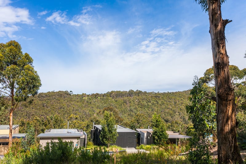 11 Skyline Court, Lorne, VIC, Lorne - Thumbnail 4