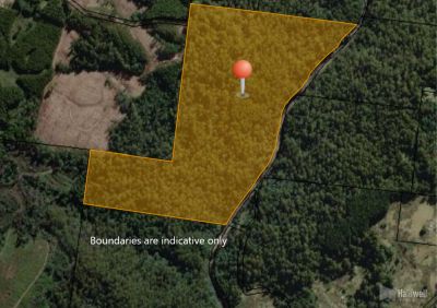 Andersons Road, Nietta, Nietta - Thumbnail 4