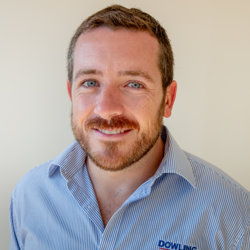 Home Dowling Real Estate Raymond Terrace