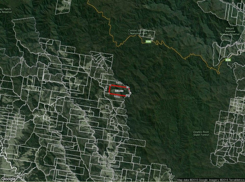 , YARROWITCH NSW 2354