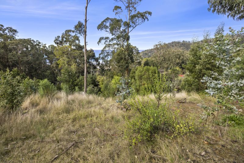 6 The Boulevarde, Wye River, VIC, Wye River - Thumbnail 3
