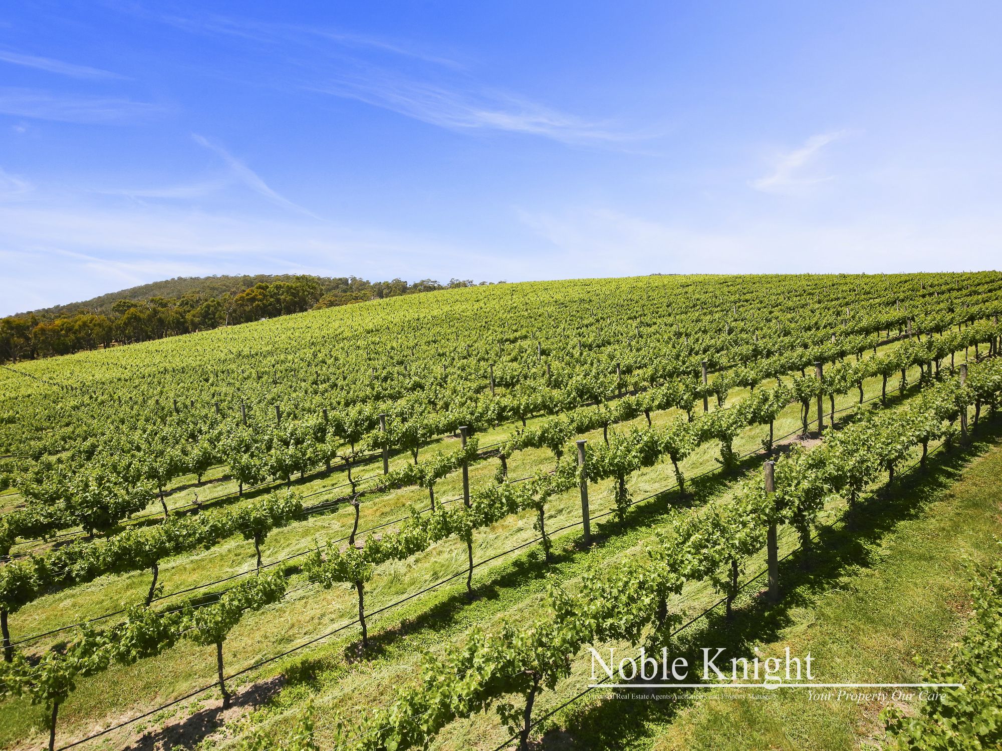 169 Hunts Lane Steels Creek