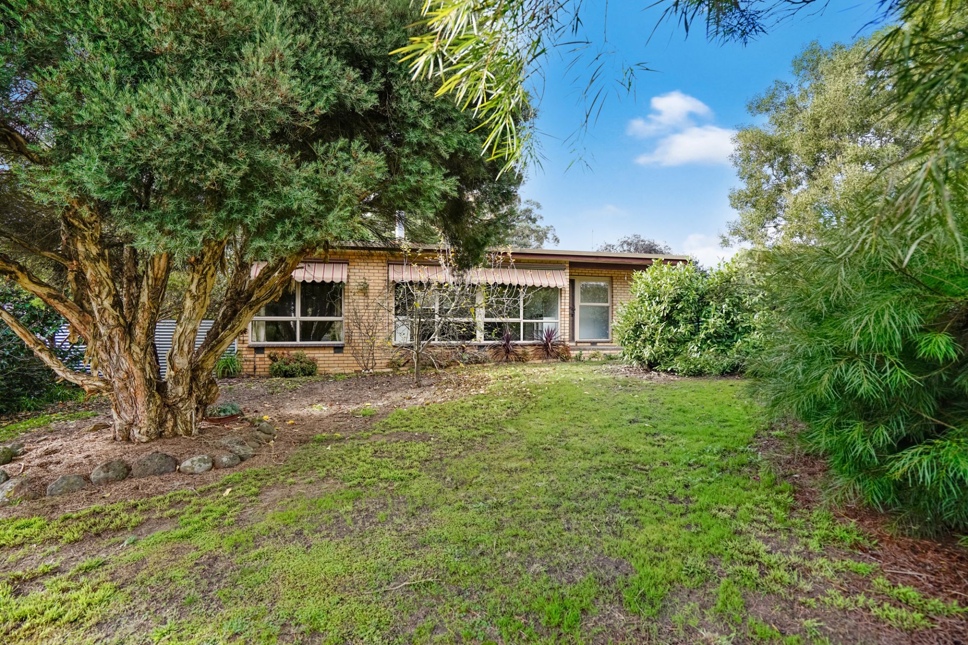 5 Pines Lane, Beaufort, Beaufort - Thumbnail 4