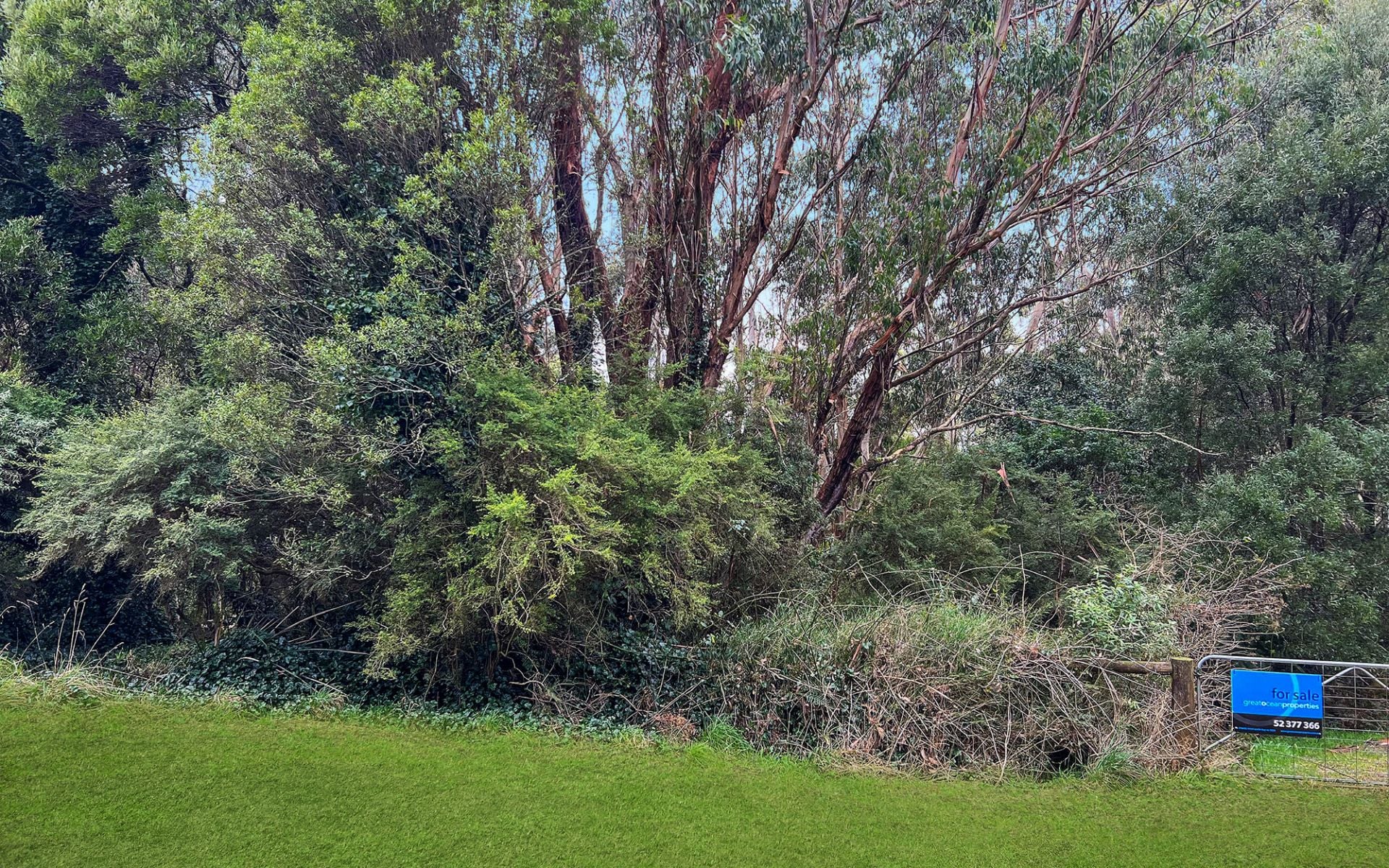 lot 1/56-58 Broughtons Access, Skenes Creek North - Thumbnail 3