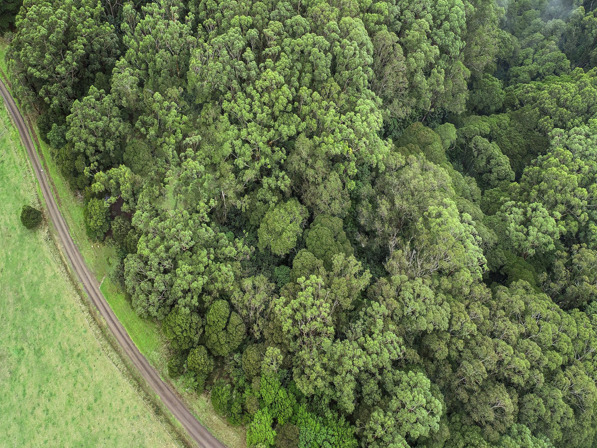 62 Broughtons Access, Skenes Creek North - Thumbnail 4