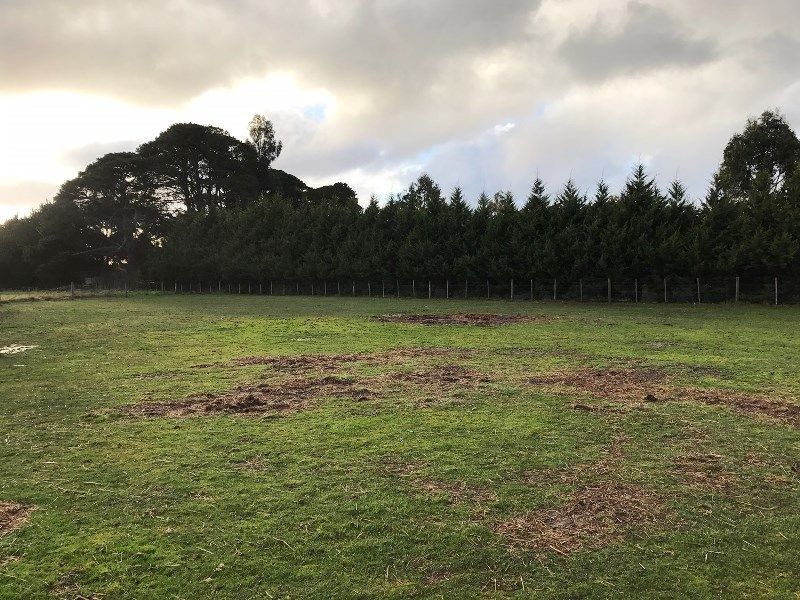 10A Gingella Court, Ballan - Thumbnail 3