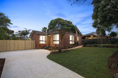 93 Harold Street, Wantirna