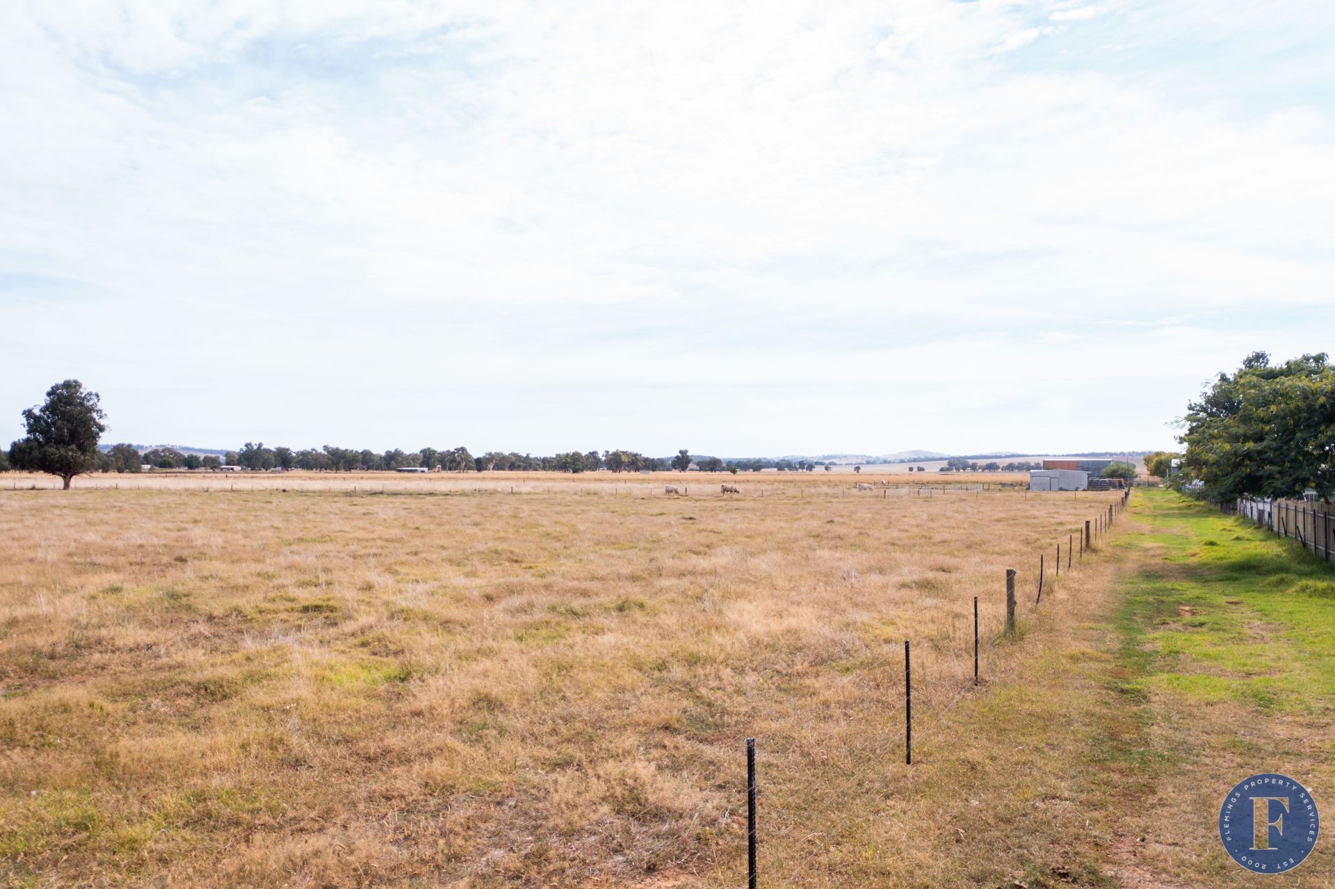 Lot 1 Temora Street, Cootamundra NSW, Cootamundra - Thumbnail 5