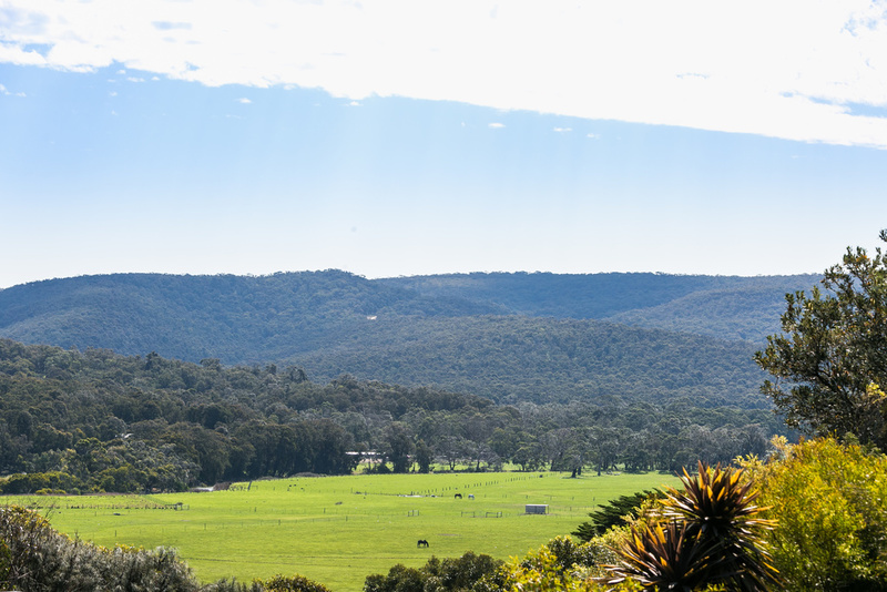 180' PANORAMIC VIEWS FROM LORNE TO THE HINTERLAND, Aireys Inlet - Thumbnail 3
