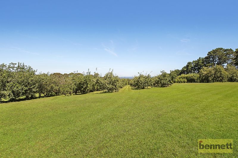 Lot 2 Hanlons Road, Bilpin - Thumbnail 8