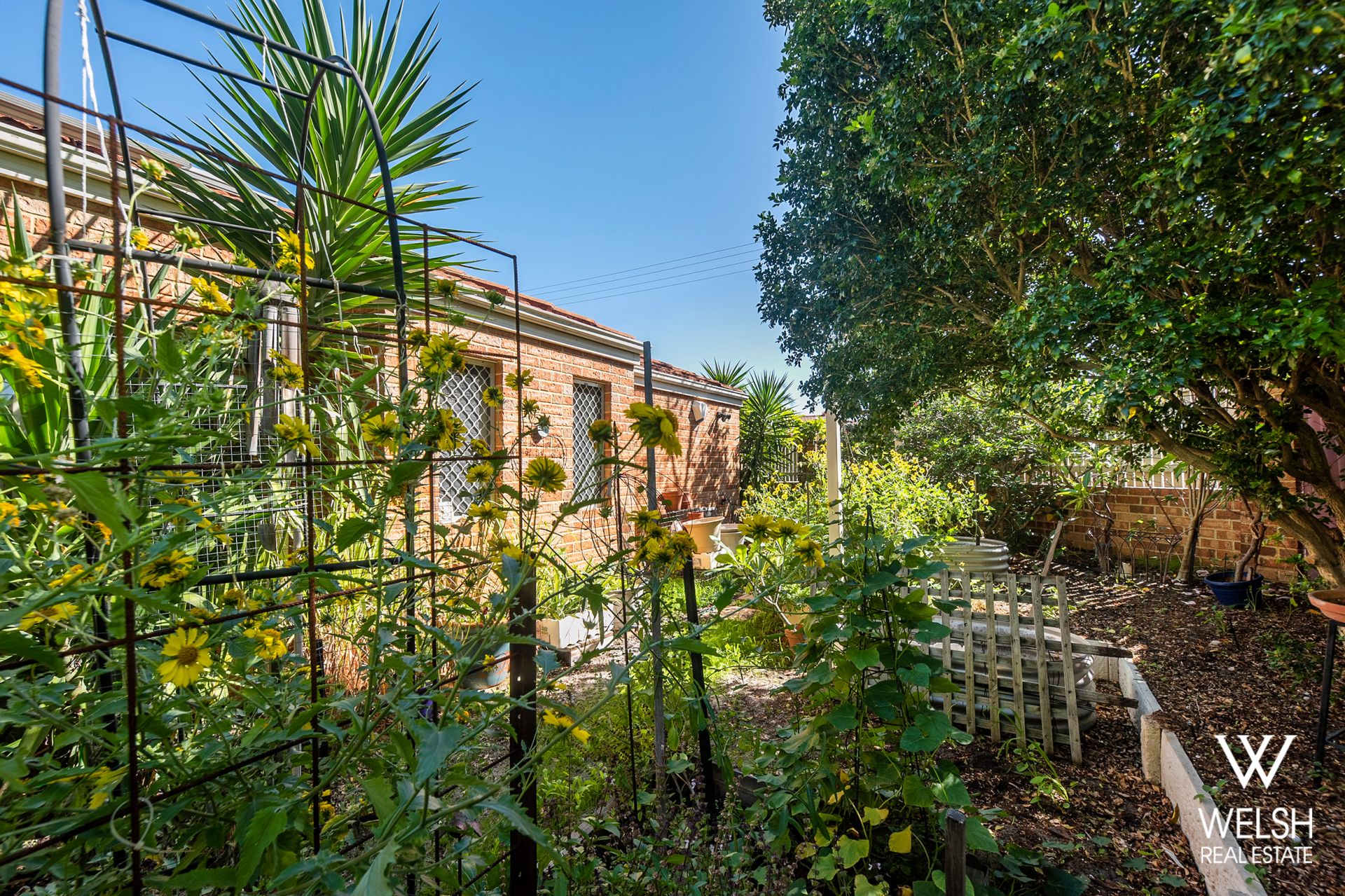 10 Scott Street, KEWDALE WELSH Real Estate