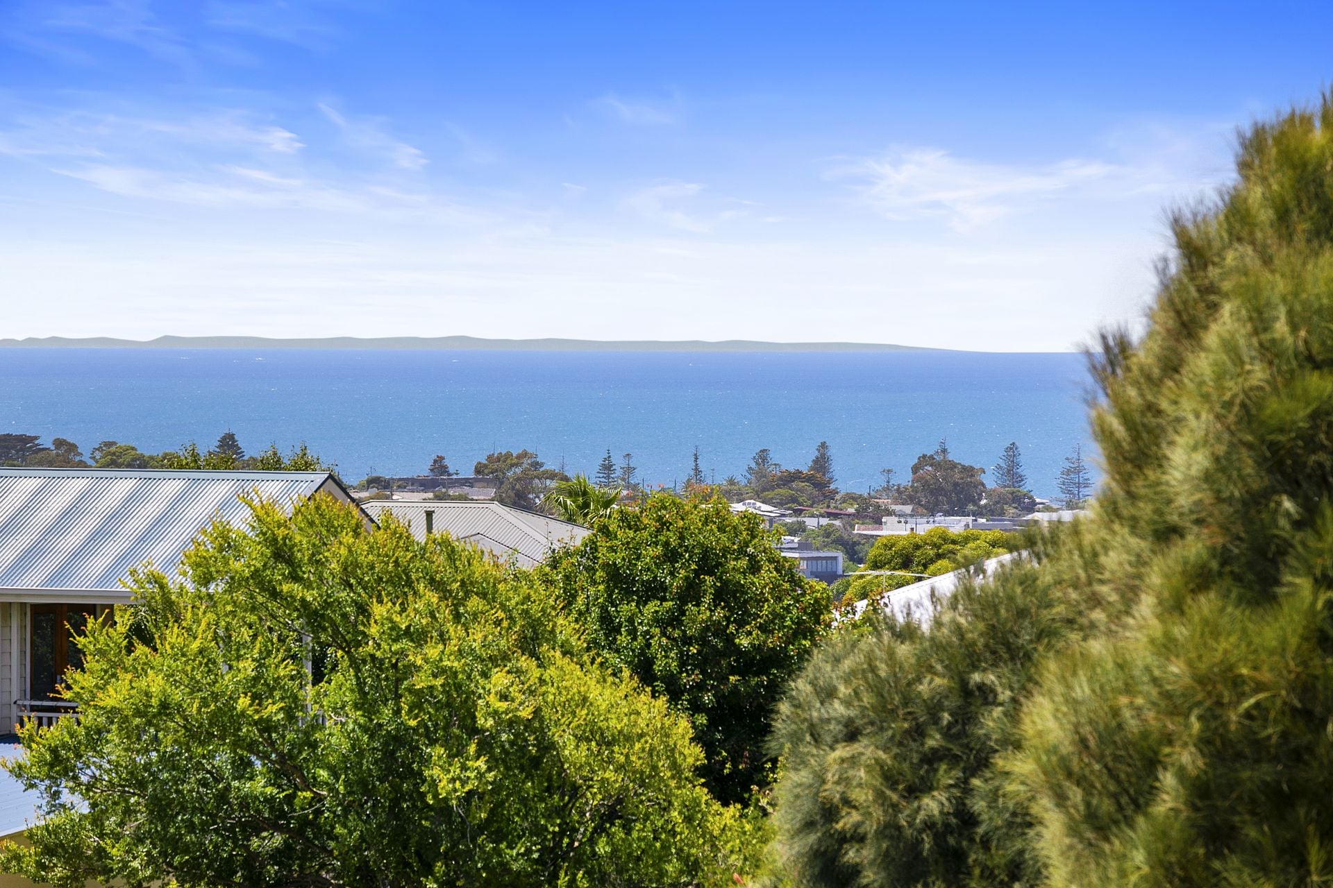 63 Manna Gum Drive, Torquay - Thumbnail 4