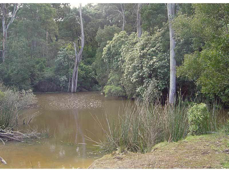 55 Old Coach Road (Yuulong) APOLLO BAY VIC, Apollo Bay - Thumbnail 5