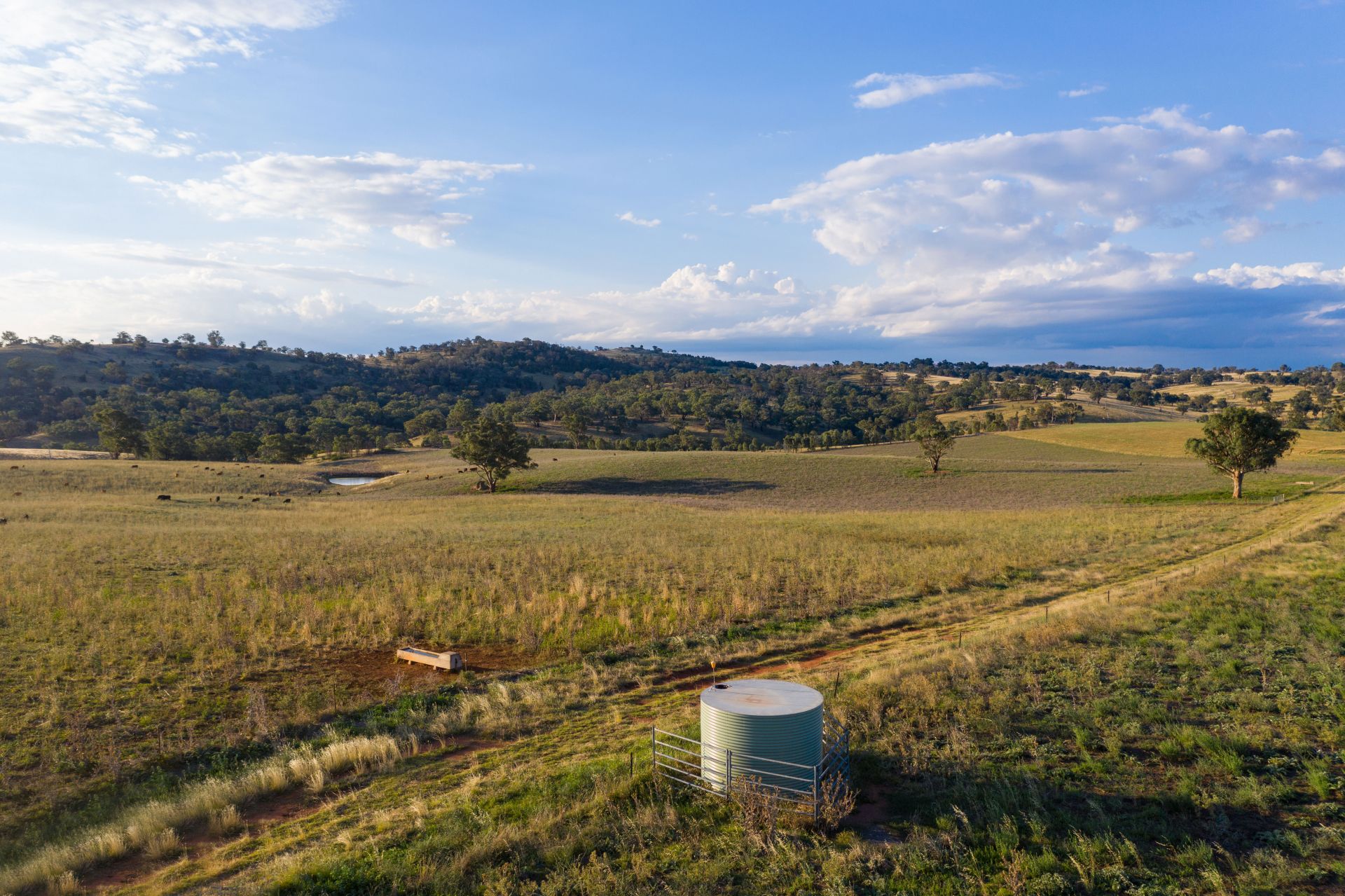 825 Frogmore Road Road, Frogmore NSW, Frogmore - Thumbnail 6