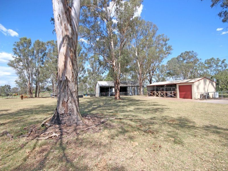 310 St Marys Road, Berkshire Park - Thumbnail 5