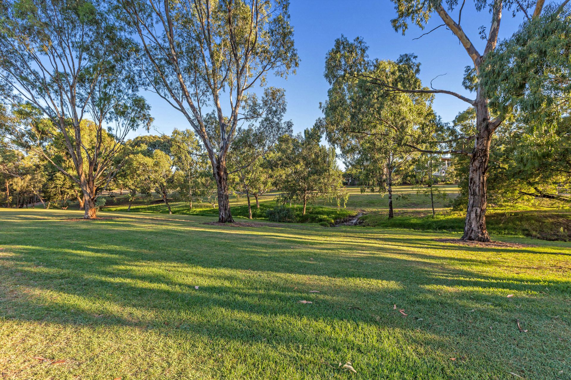 6 Freeman Street, Yarraville - Thumbnail 5