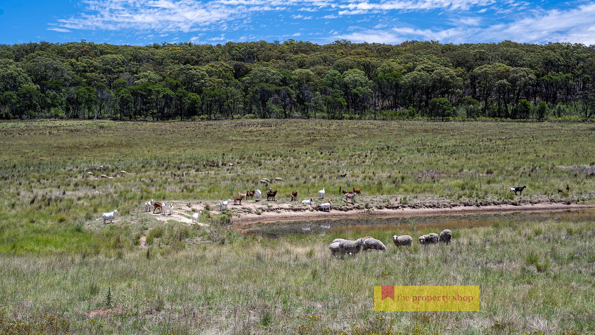 1732 Spring Ridge Road, Gulgong The Property Shop