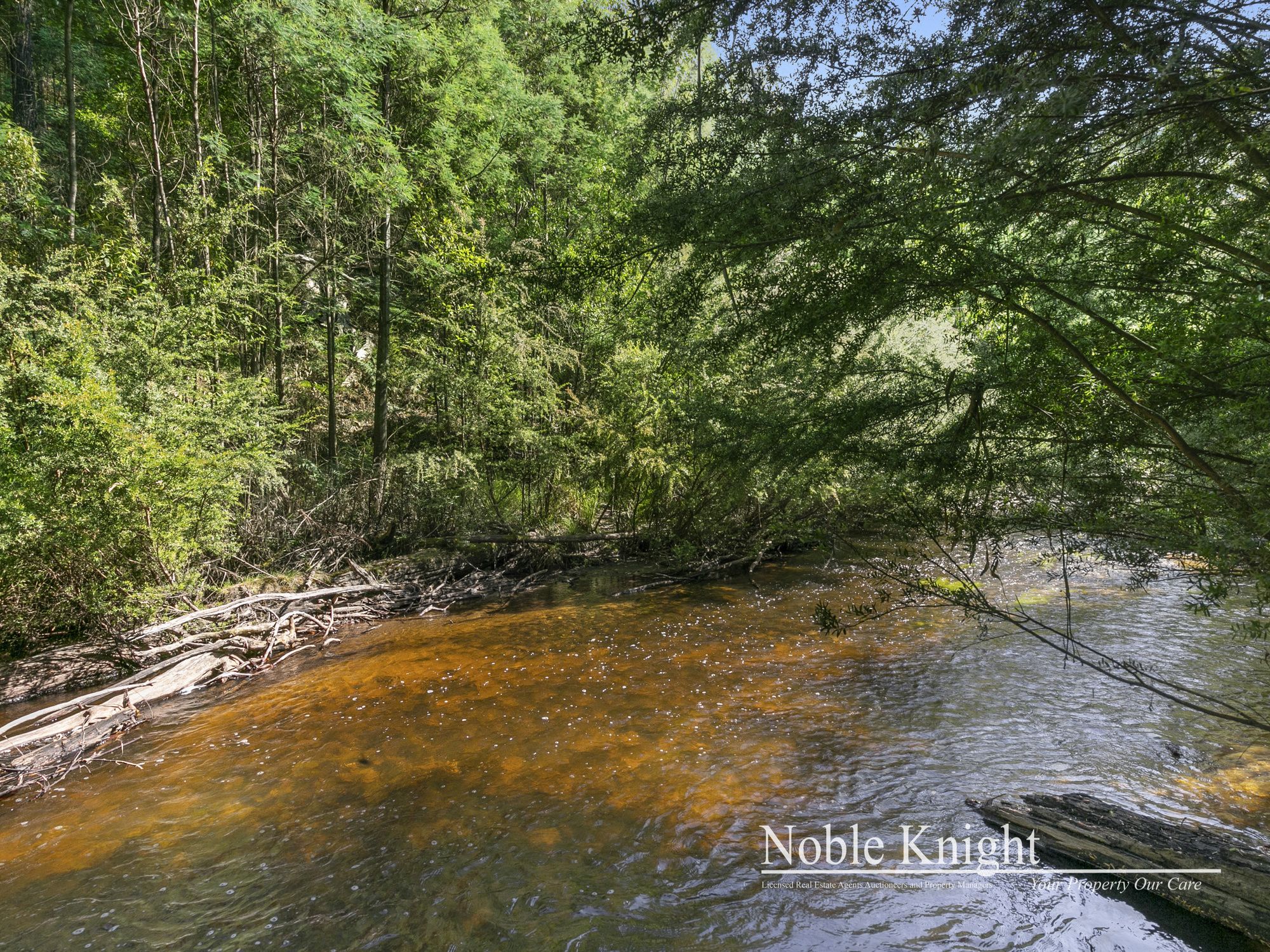 253 Wilhelmina Falls Road Murrindindi