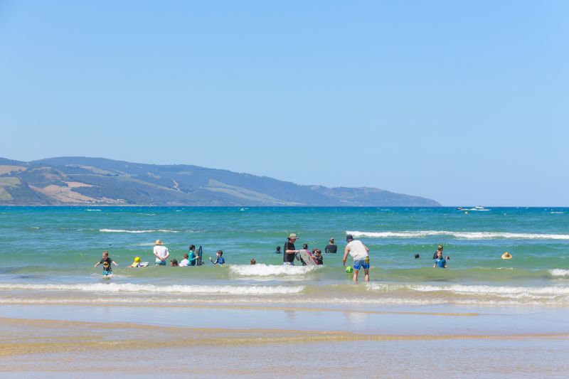 39 Joyce Street, Apollo Bay, VIC, Apollo Bay - Thumbnail 5