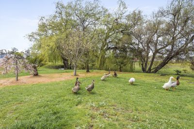 4
 
 
 
  
 
 
 2
 
 
 
  
 
 
 3
 
 
 
 
 
 
 
 261 Mersey Main Road, Spreyton TAS 7310, Spreyton - Thumbnail 4