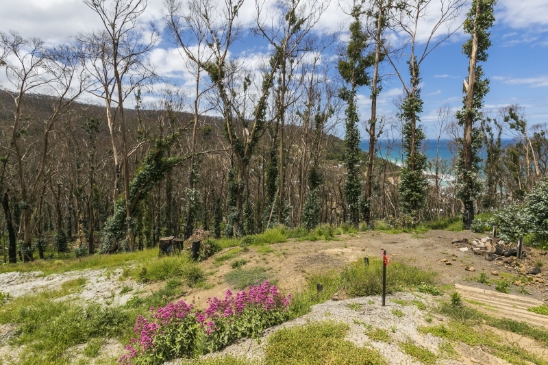 3 Dunoon Road, Wye River, VIC, Wye River - Thumbnail 2