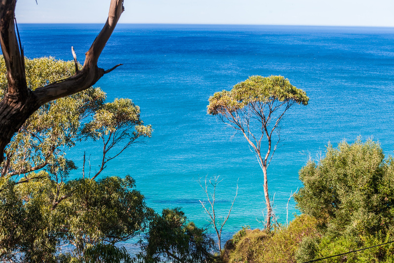 5 Iluka Avenue, Wye River, VIC, Wye River - Thumbnail 4