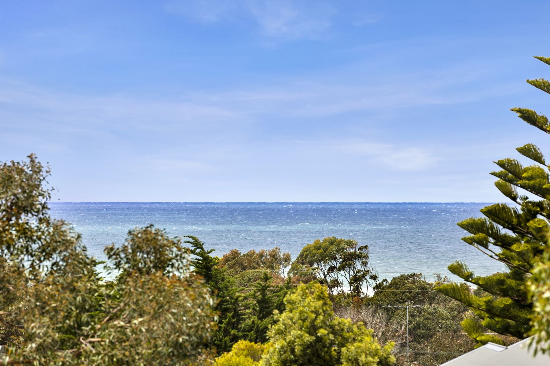 52 Fifth Avenue, Anglesea - Thumbnail 3