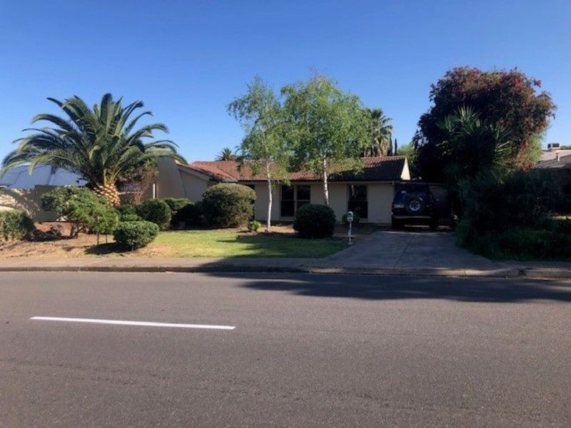 20 Illyarrie Avenue Surrey Downs 5126