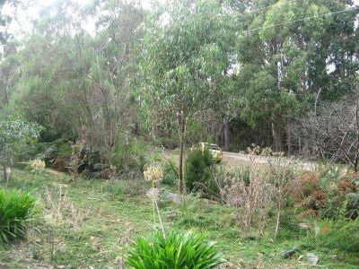 140 Stony Rise Road, DEVONPORT, Devonport - Thumbnail 2