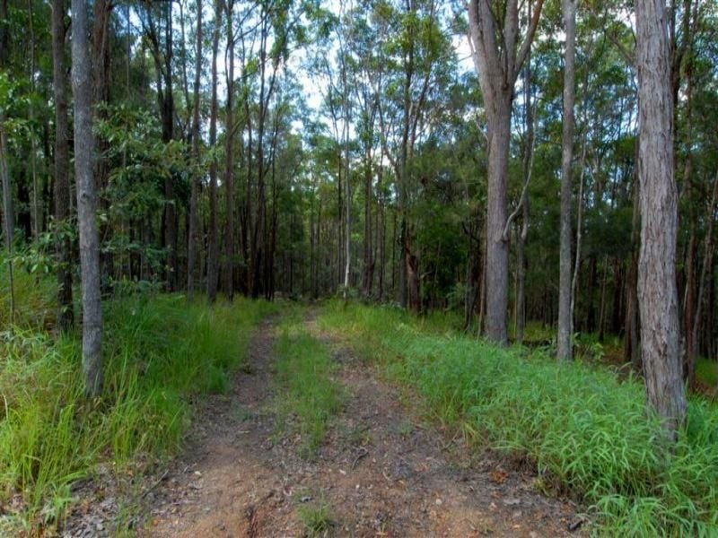 1 Francis Road BLI BLI QLD, Bli Bli - Thumbnail 5
