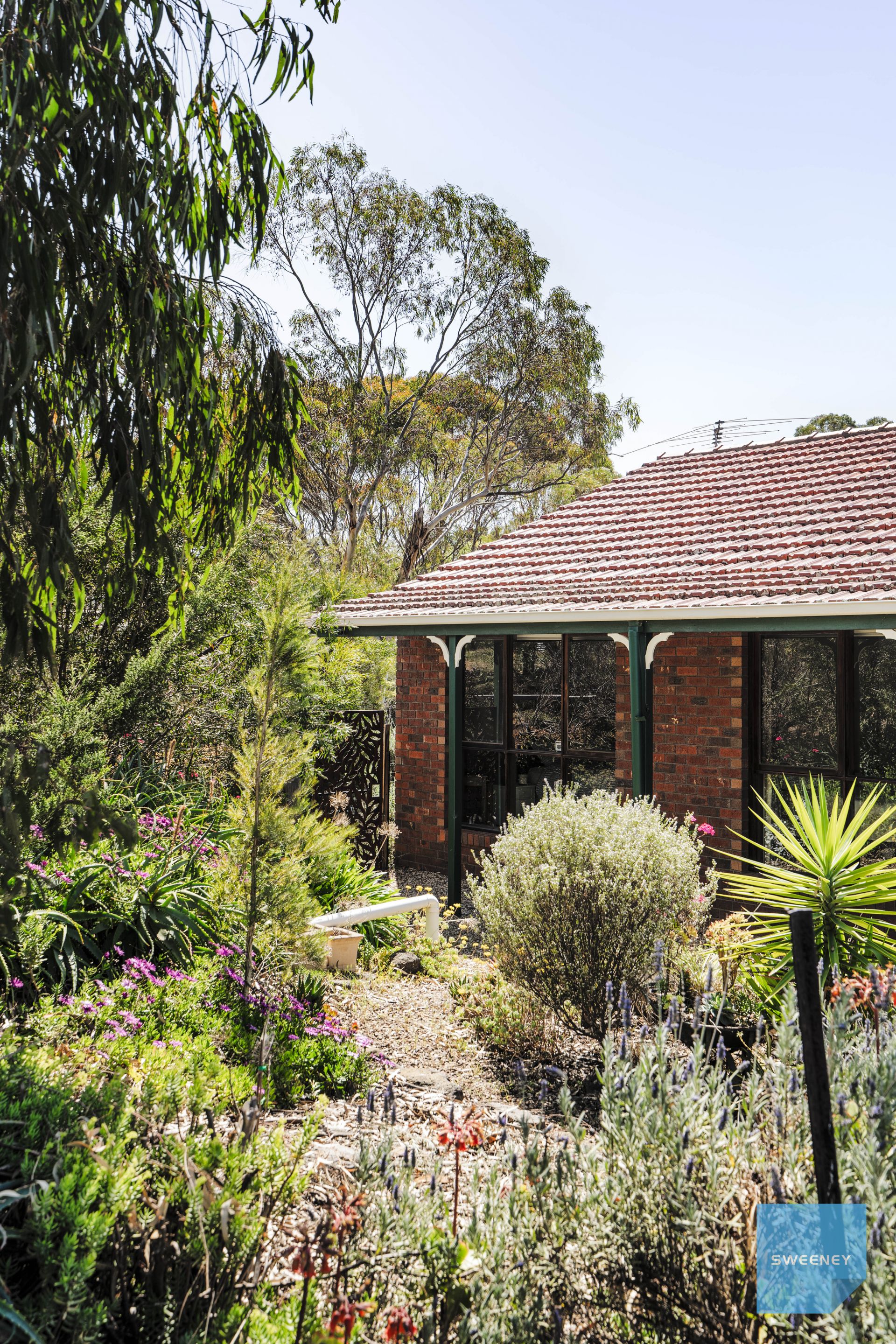 112 Holts Lane, Darley - Thumbnail 5