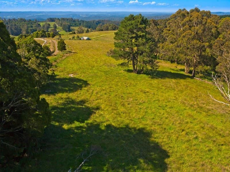 150 Old Colac Road BEECH FOREST VIC, Beech Forest - Thumbnail 8